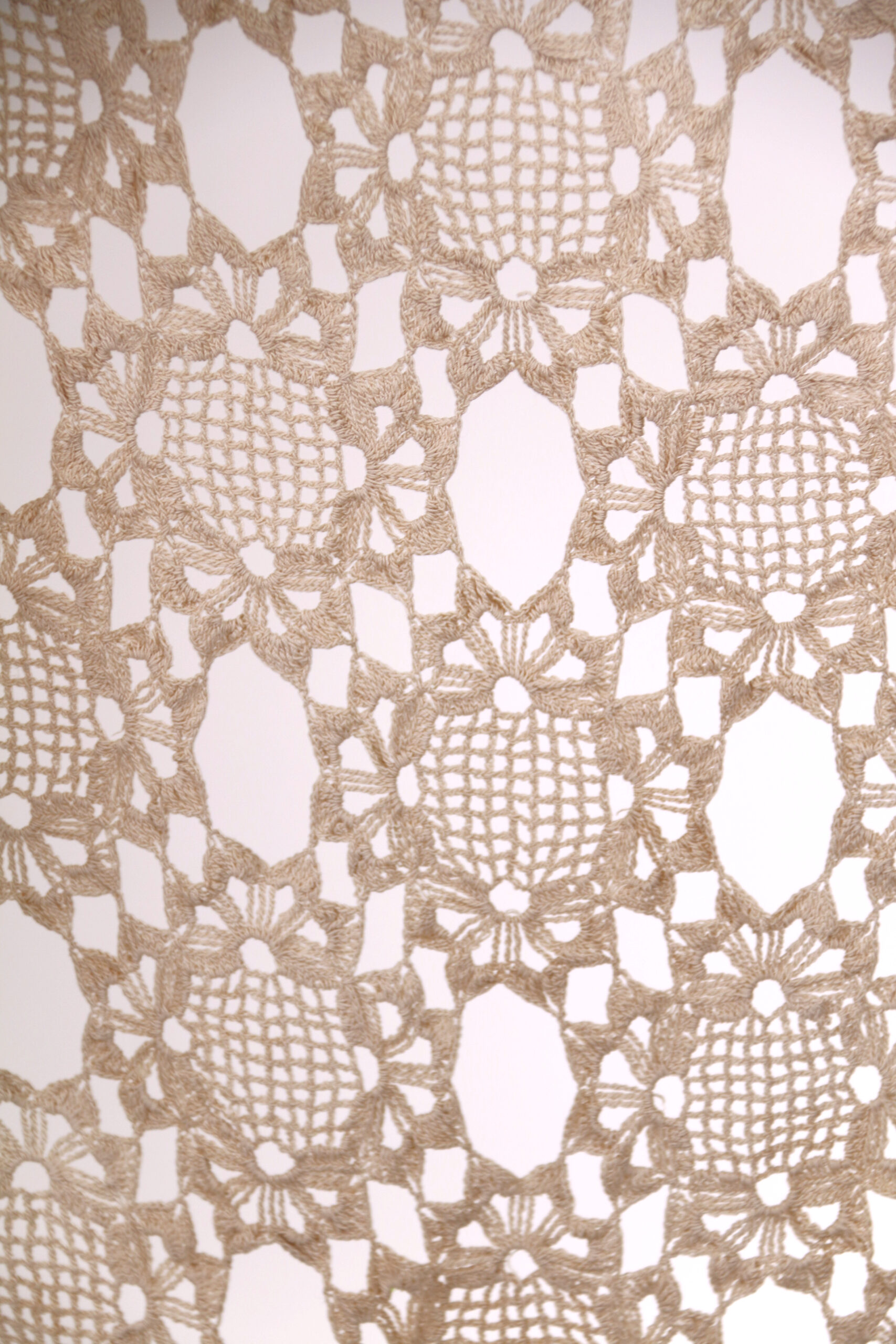 Balkan Baroque #66 - Image 4